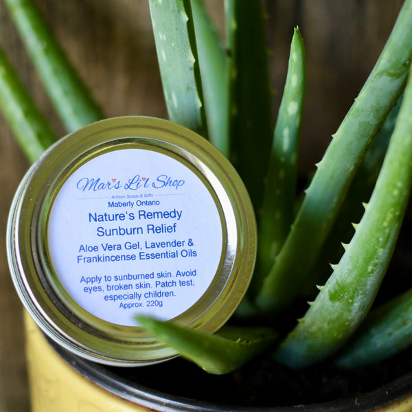 Our Nature’s Remedy Sunburn Relief gel is crafted with a gentle blend of essential oils in a cooling aloe vera base—safe for the whole family, including little ones aged 2 and up.

Made with care at a 0.25% dilution for sensitive skin, this formula calms redness, cools heat and supports healing without irritation.

Perfect for summer days, beach bags, and after-sun care.